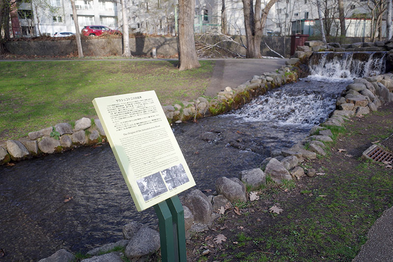 一般教育演習「北海道の自然と人」街歩き